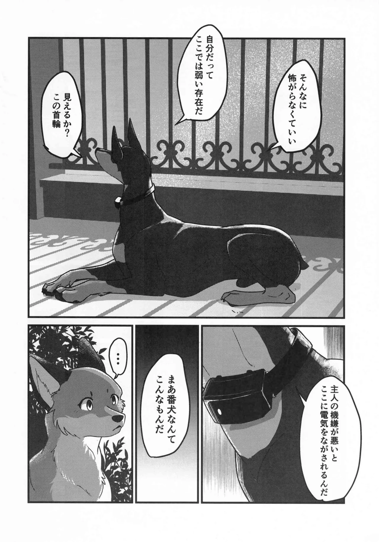 (Kemoket 15) [Kon Juuichibai (Momou)] Fox and Good Dog 画像番号 7