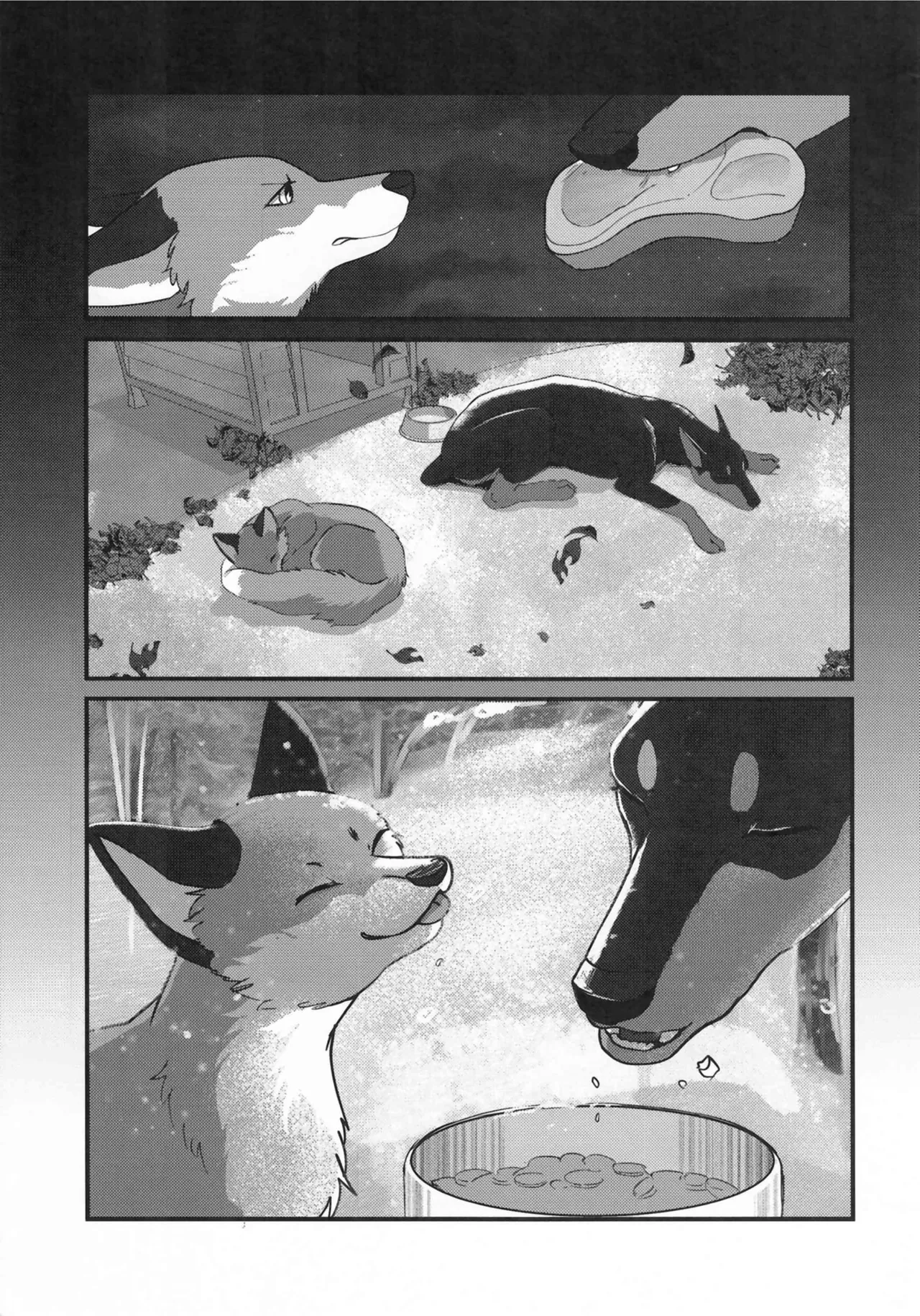 (Kemoket 15) [Kon Juuichibai (Momou)] Fox and Good Dog 画像番号 8