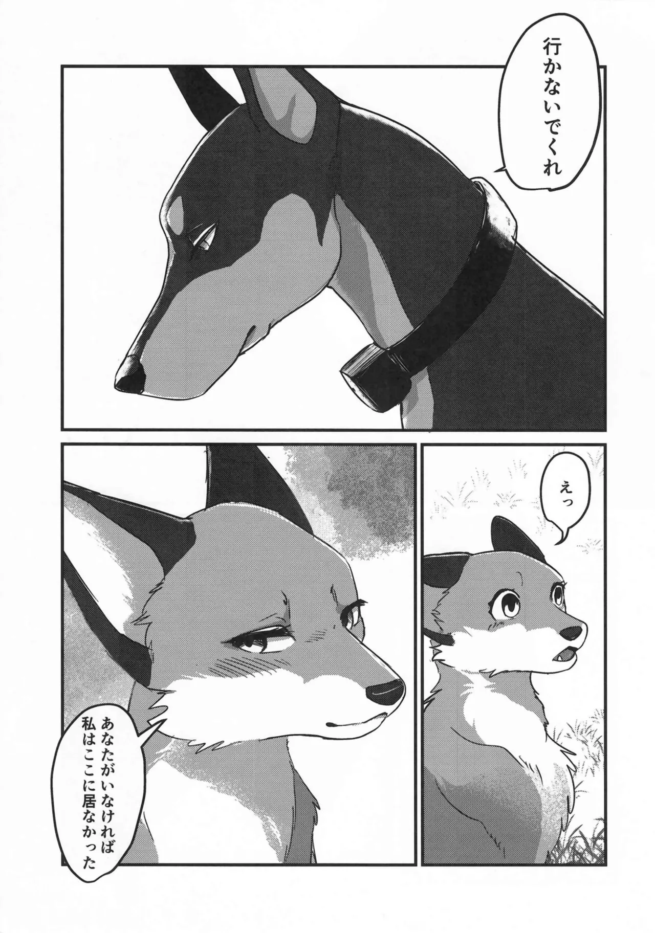 (Kemoket 15) [Kon Juuichibai (Momou)] Fox and Good Dog 画像番号 10