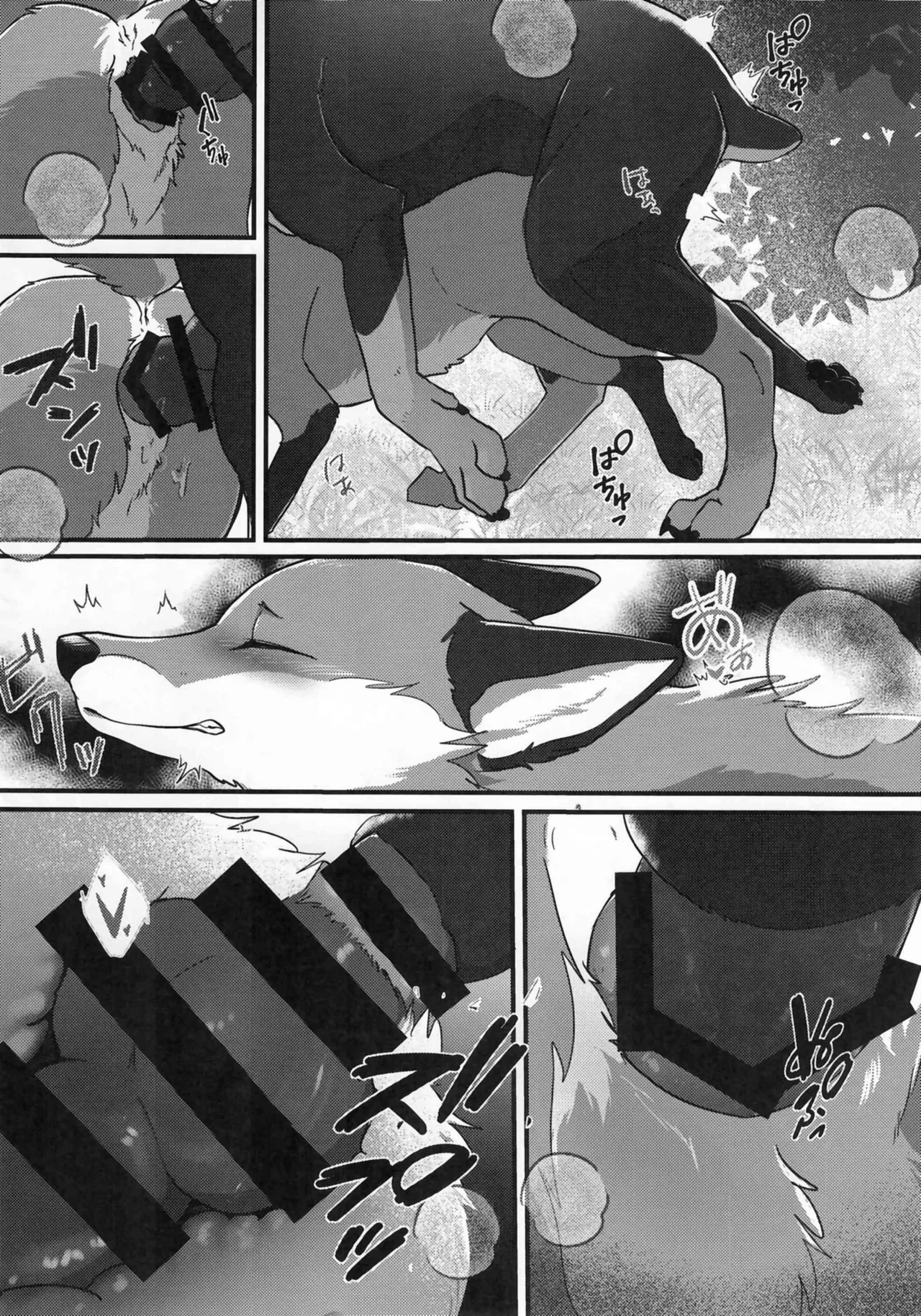 (Kemoket 15) [Kon Juuichibai (Momou)] Fox and Good Dog 画像番号 17