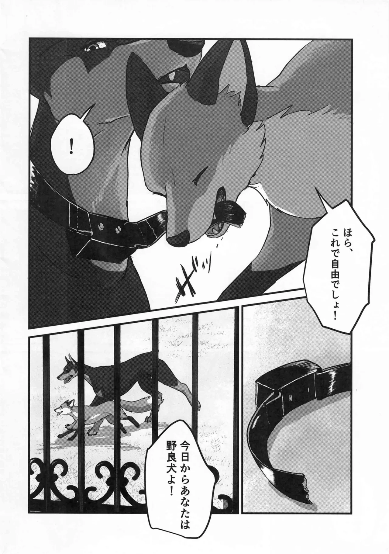 (Kemoket 15) [Kon Juuichibai (Momou)] Fox and Good Dog 画像番号 21