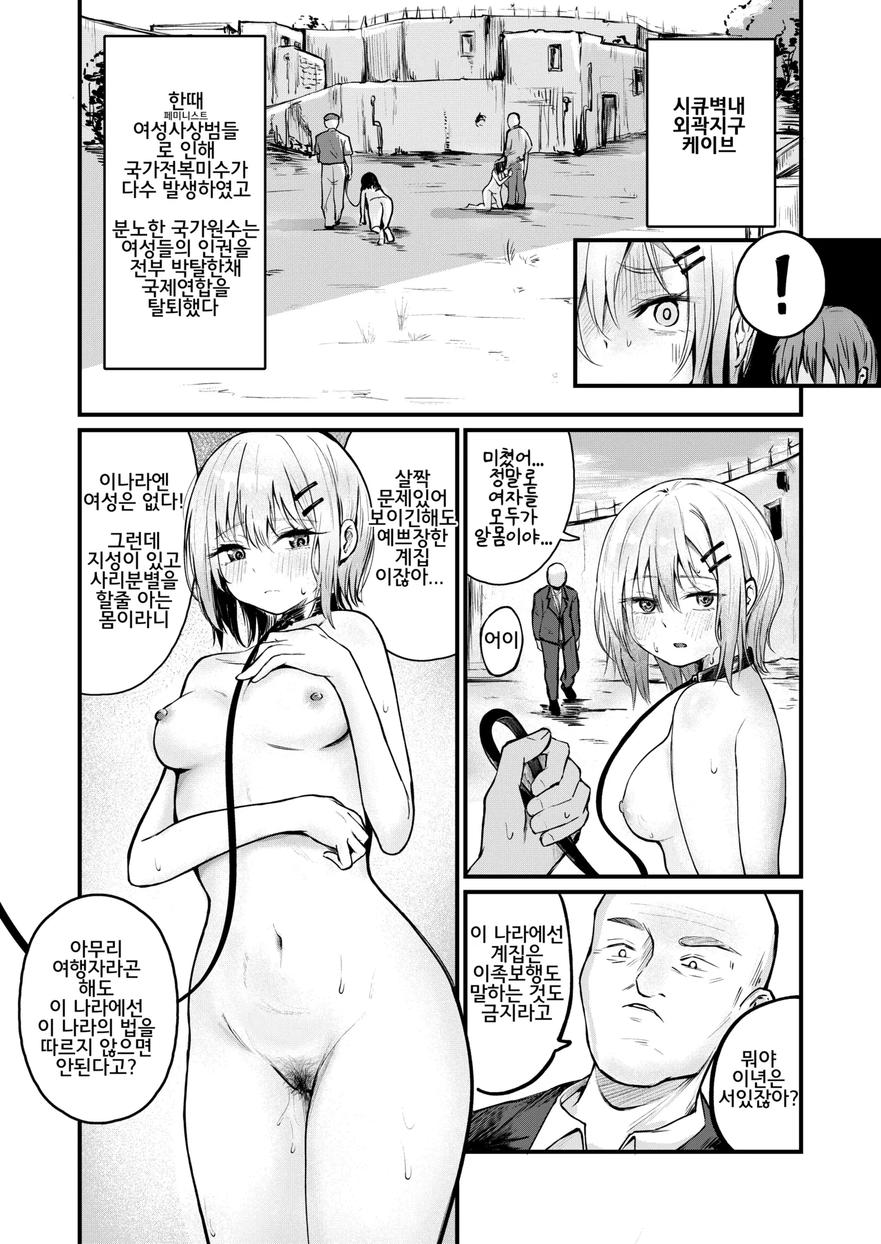 [mokataki_works] Josei no Kenri ga Ushinawareta Kuni Bildnummer 7