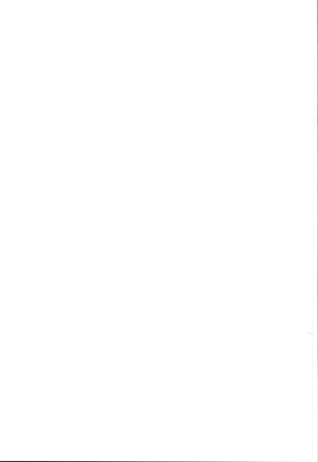 (C105) [Hellfragrance (Utsurogi Angu)] My all-time favorite (Ranma 1/2) numero di immagine  27