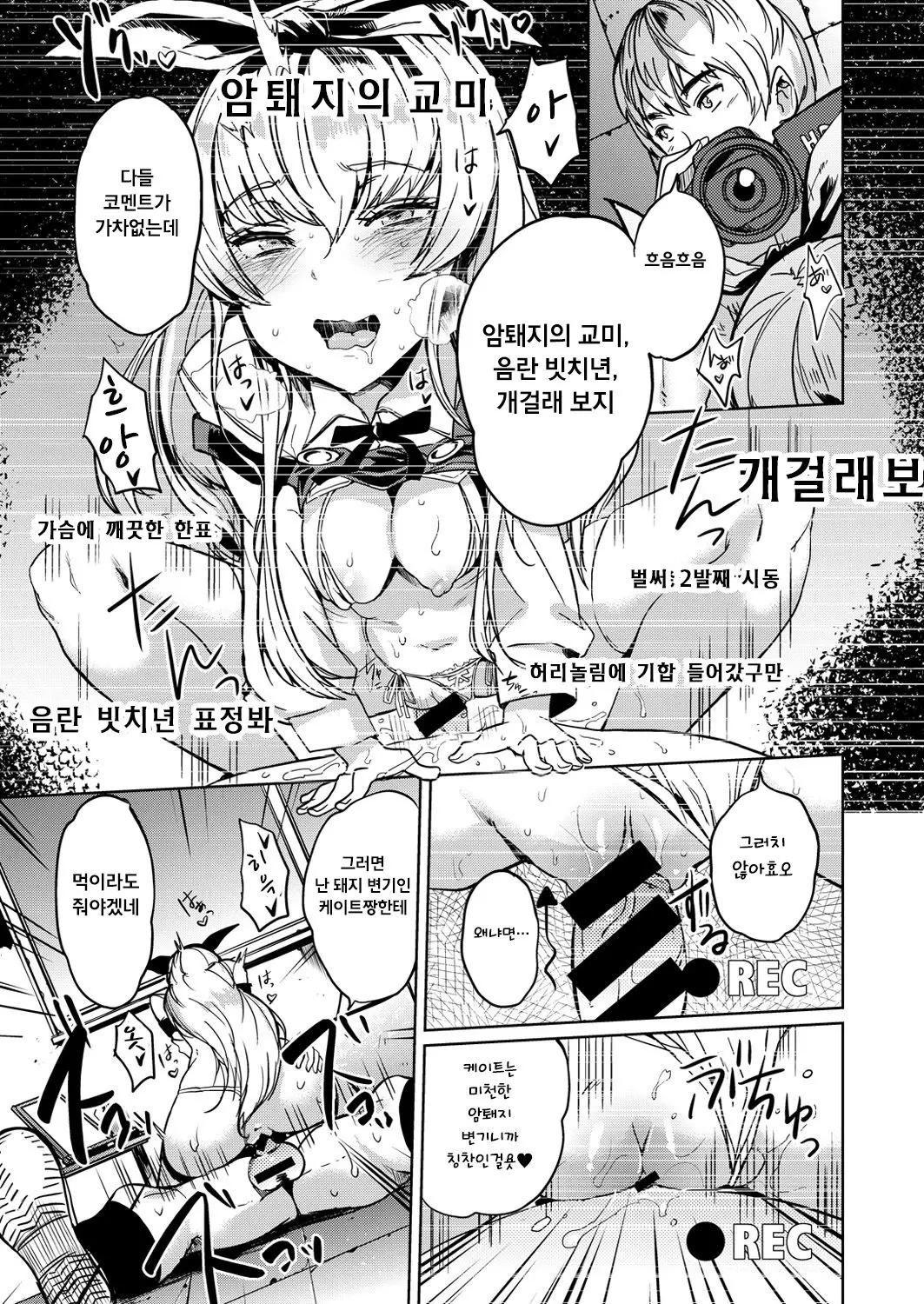 [shiun sanchou] matsushima kate no haishin (COMIC X-EROS #49) [Korean] Bildnummer 11