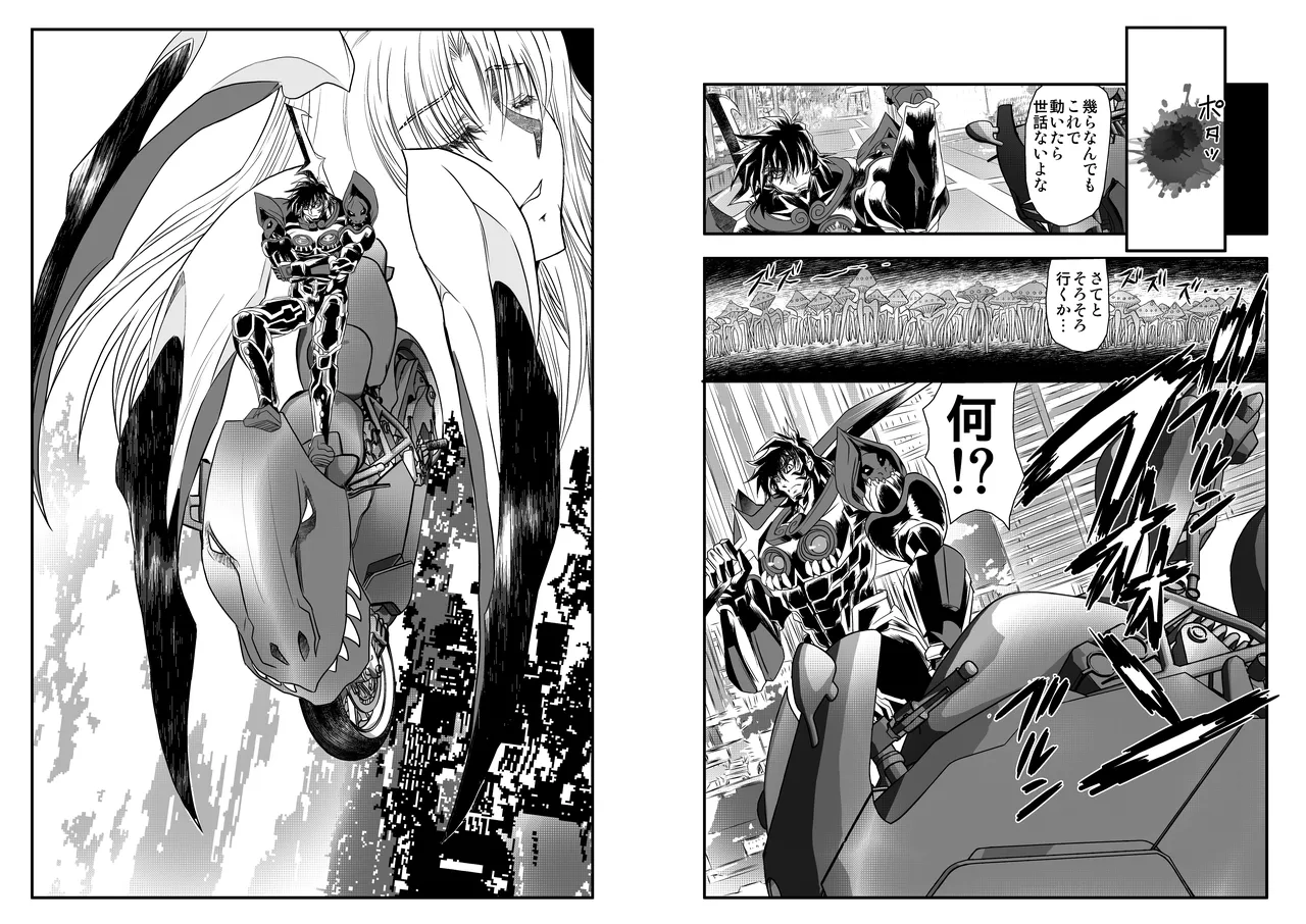 ShaladerD10 12eme image