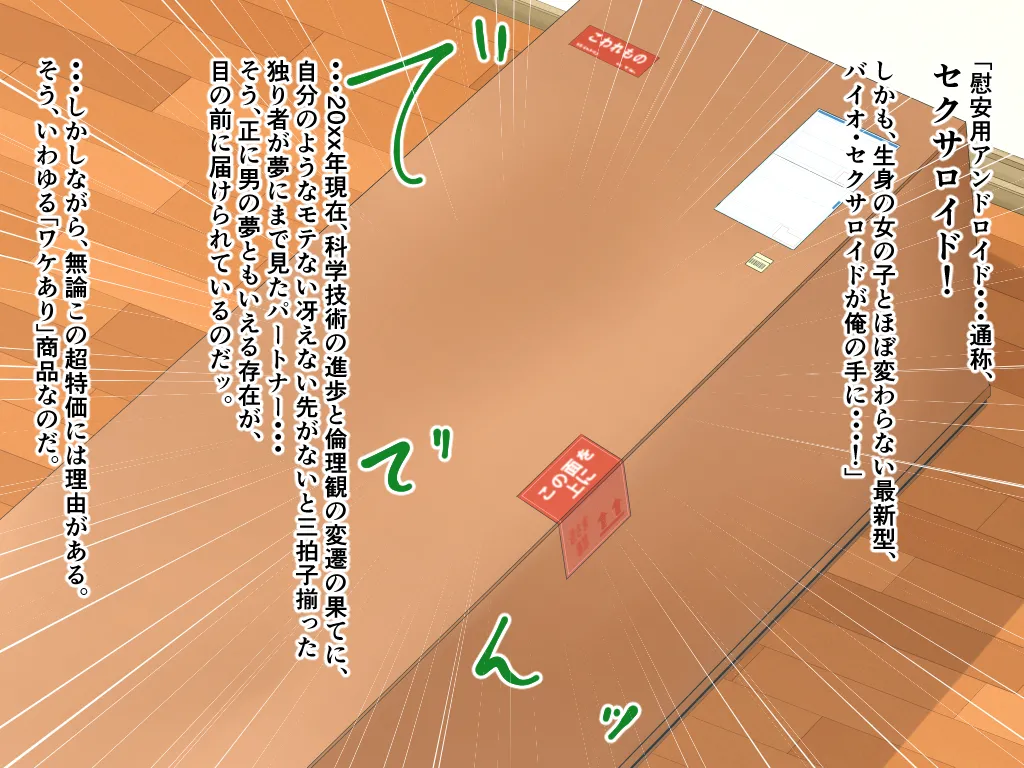 「ワケあり」格安セクサロイドを衝動買いしたら、 超乳○リ少女が届いた。 Bildnummer 3