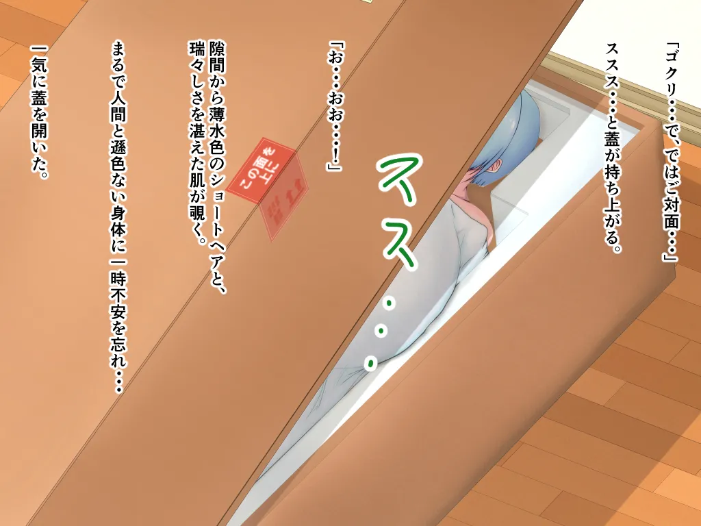 「ワケあり」格安セクサロイドを衝動買いしたら、 超乳○リ少女が届いた。 Bildnummer 5