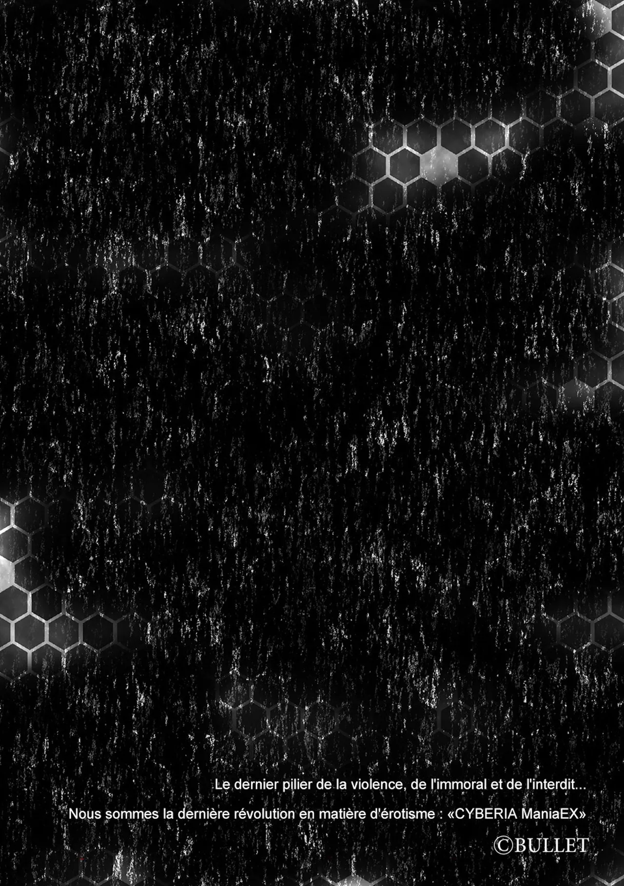 [Bullet] Inma Shouki Liz Ch. 1 [French] image number 2