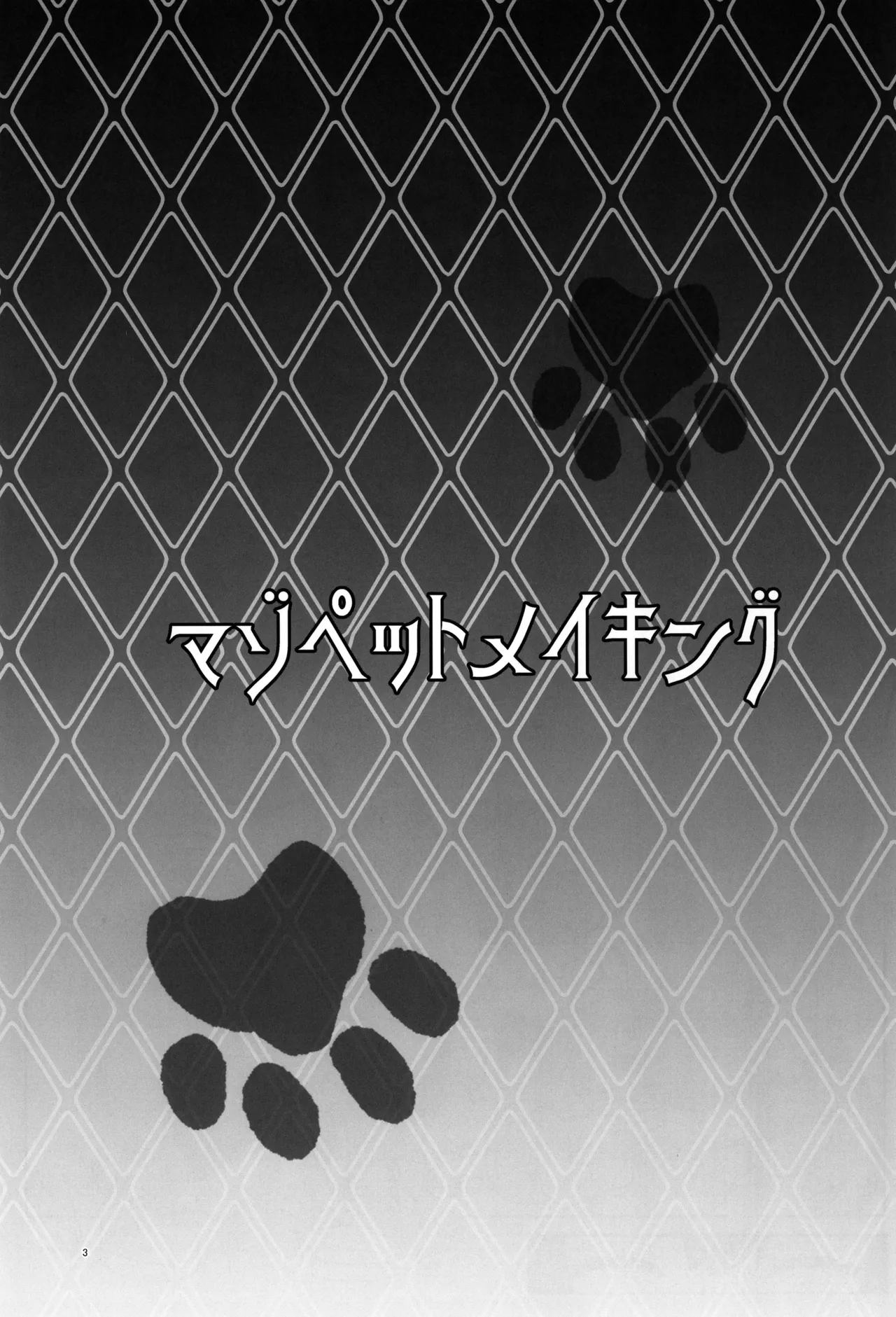 (C105) [Dokoka no Yosumi (Sumizumi Yosumi)] Maso Pet Making + Paper (Pokémon Black 2 and White 2)[中国翻訳] numero di immagine  3