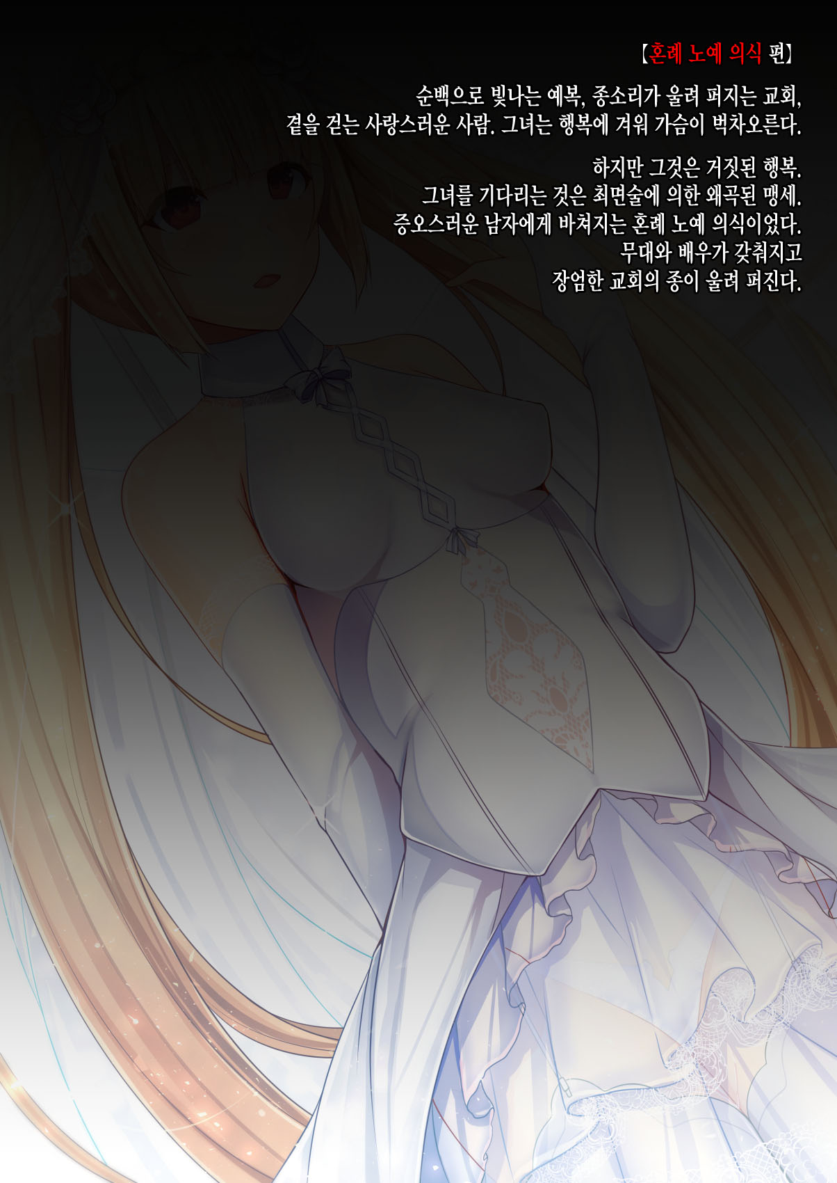 [Mousou Caution] Mousou Astral Finish S (BLAZBLUE) [Korean] [incomplete] image number 3