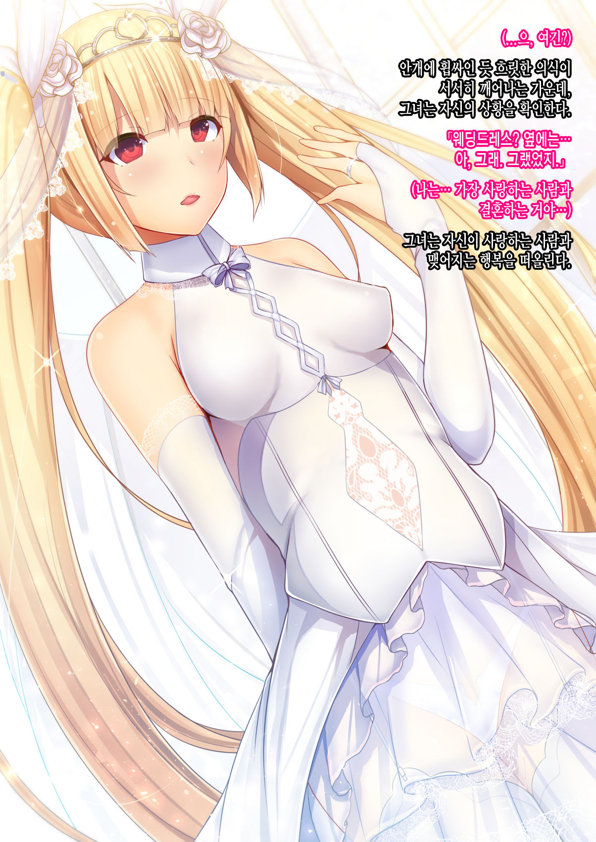 [Mousou Caution] Mousou Astral Finish S (BLAZBLUE) [Korean] [incomplete] image number 4