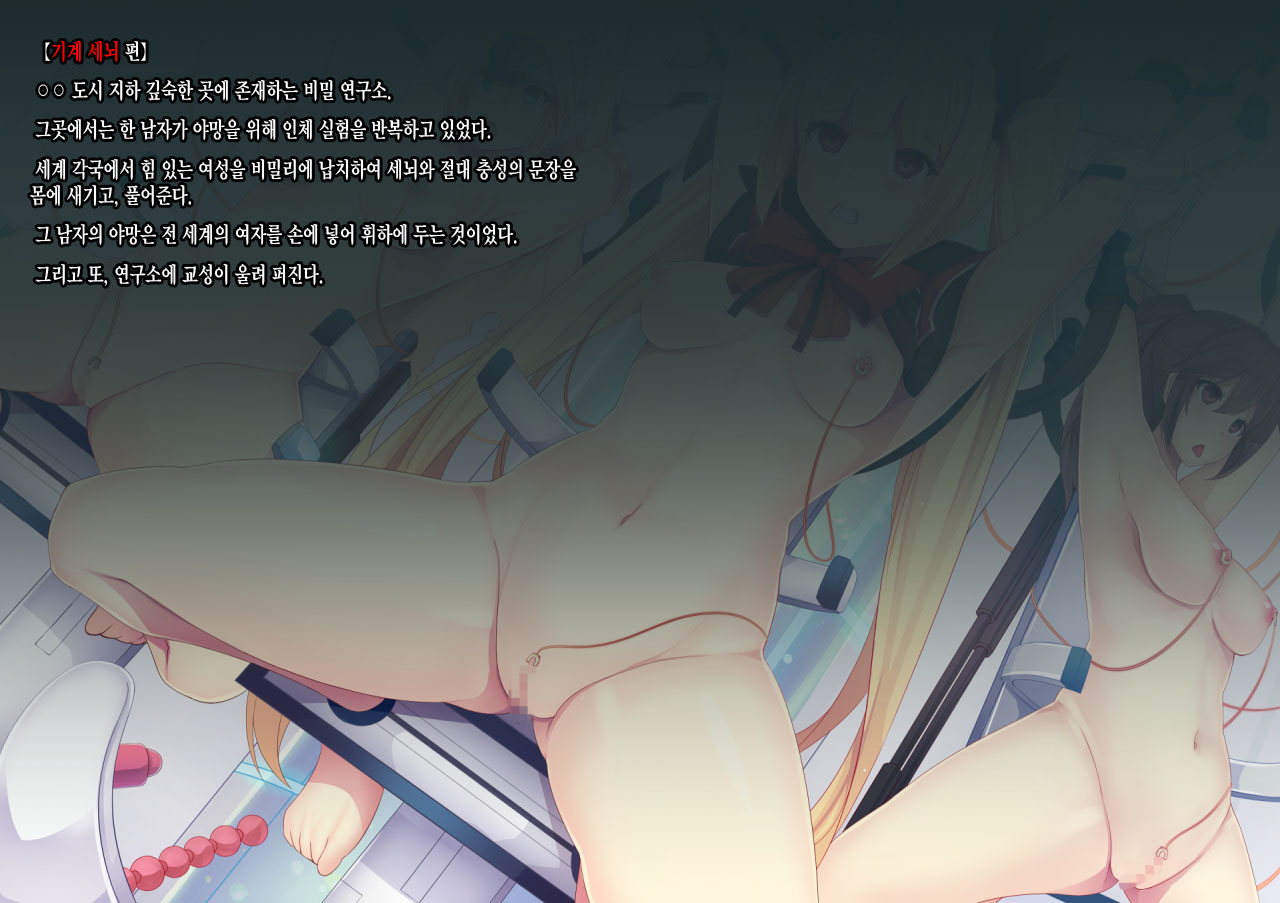 [Mousou Caution] Mousou Astral Finish S (BLAZBLUE) [Korean] [incomplete] image number 32