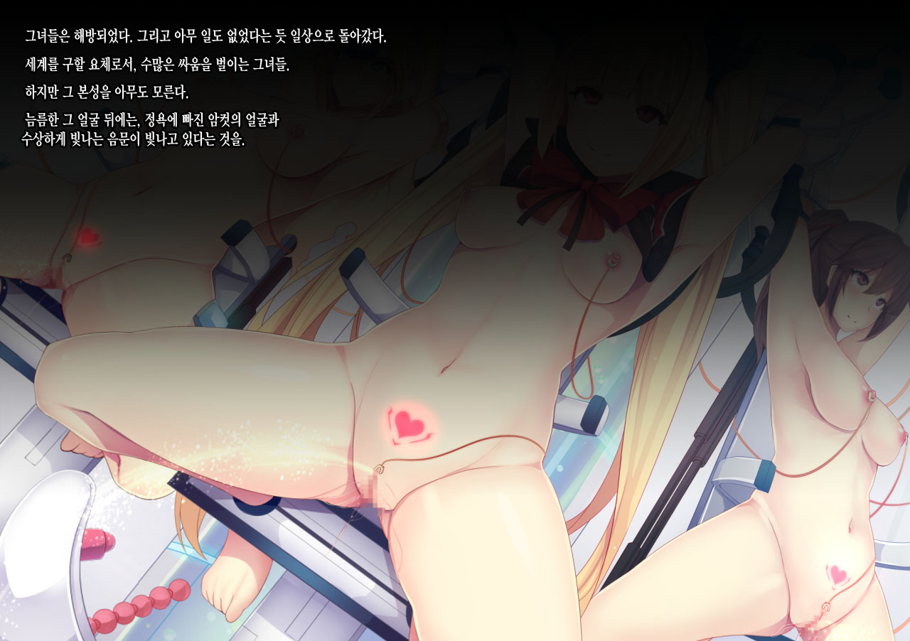 [Mousou Caution] Mousou Astral Finish S (BLAZBLUE) [Korean] [incomplete] image number 41