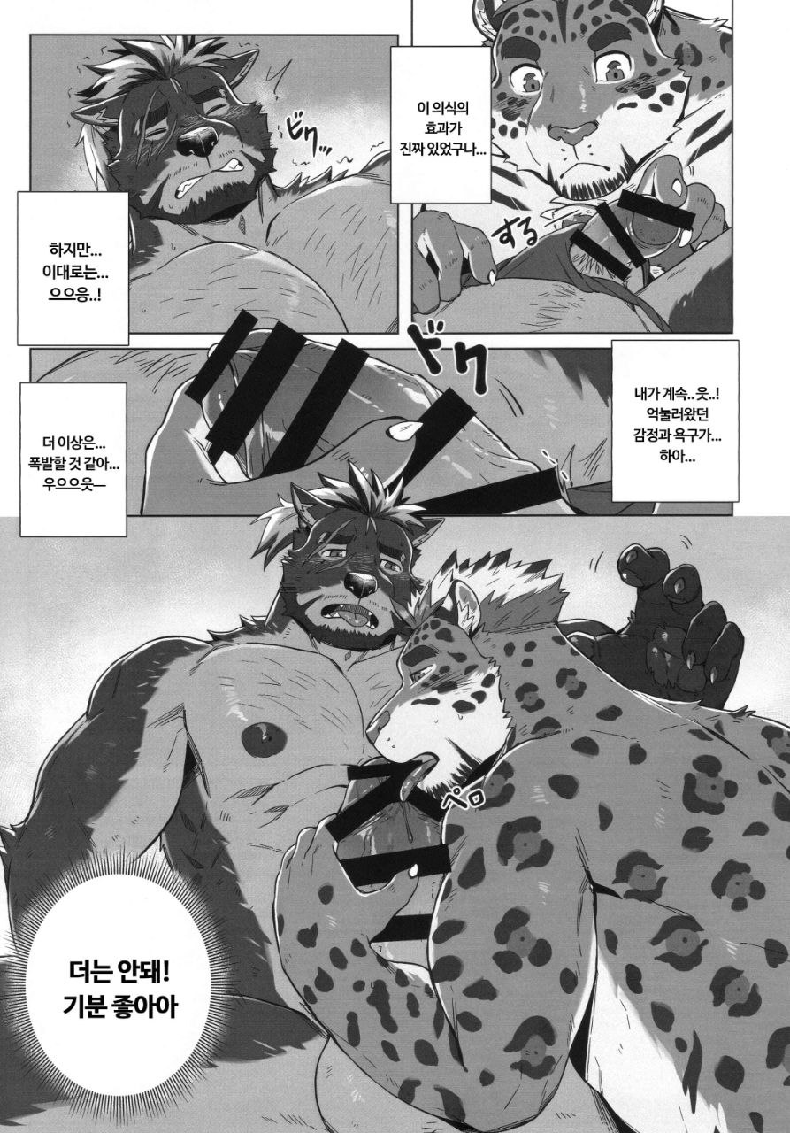 먹식/리다로모 image number 14