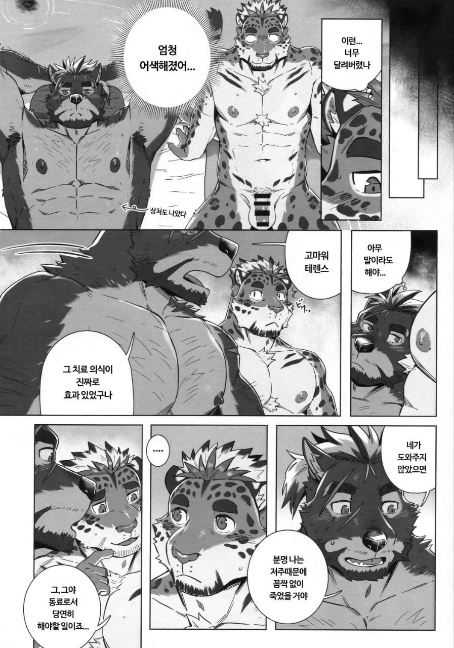 먹식/리다로모 image number 26