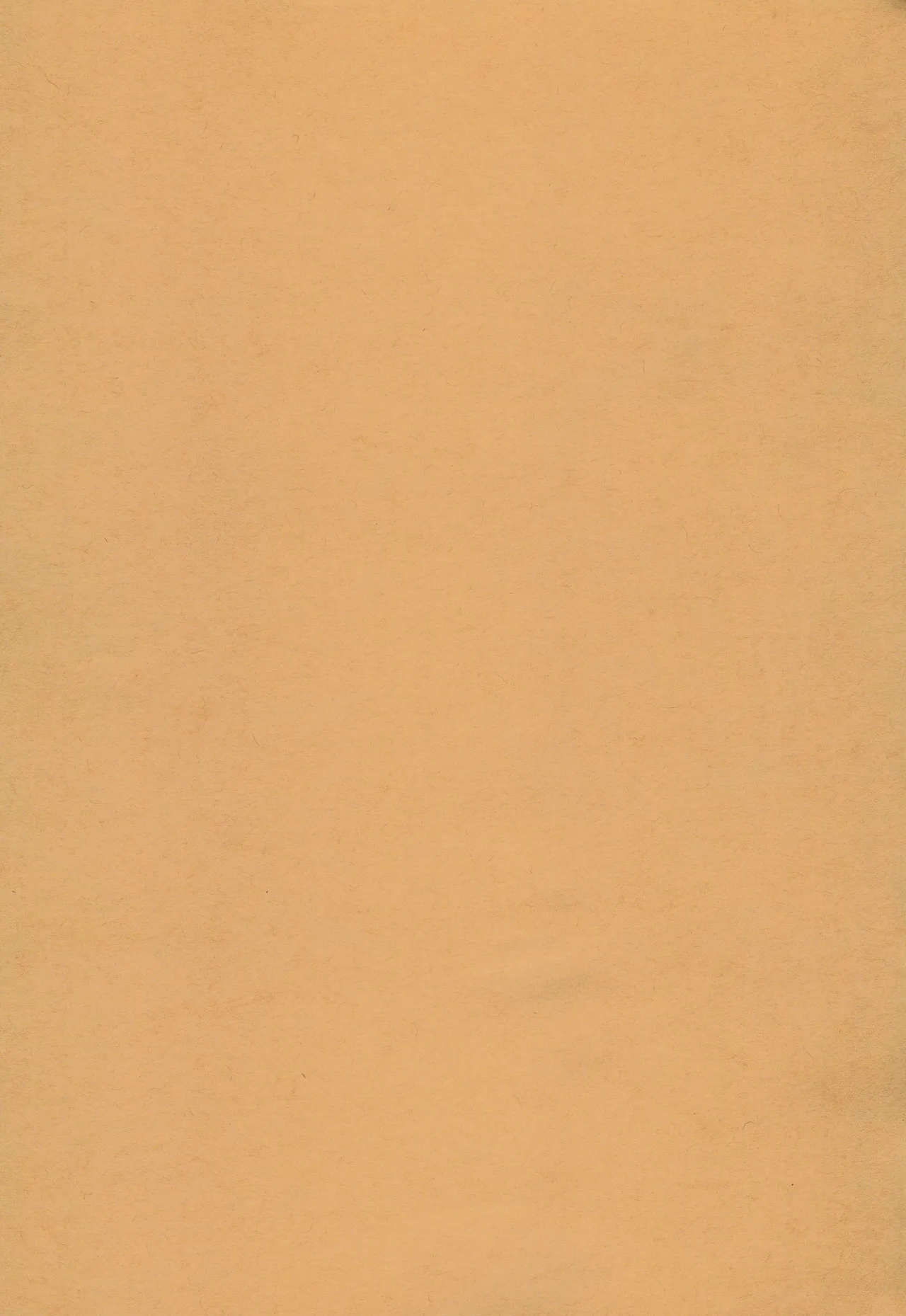 (C95)_[ROUTE885_(Hachiwulf)]_Osasoi_Bunny_(BanG_Dream!) 图片编号 4