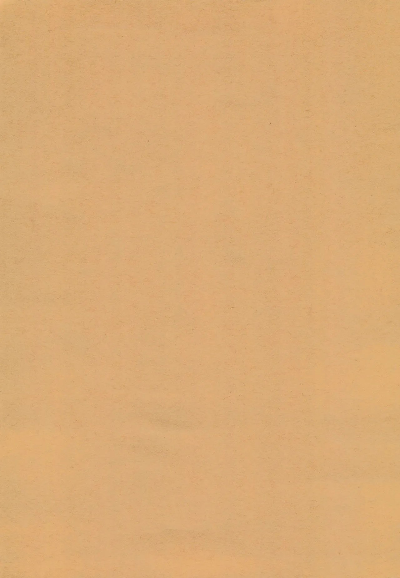 (C95)_[ROUTE885_(Hachiwulf)]_Osasoi_Bunny_(BanG_Dream!) 图片编号 5