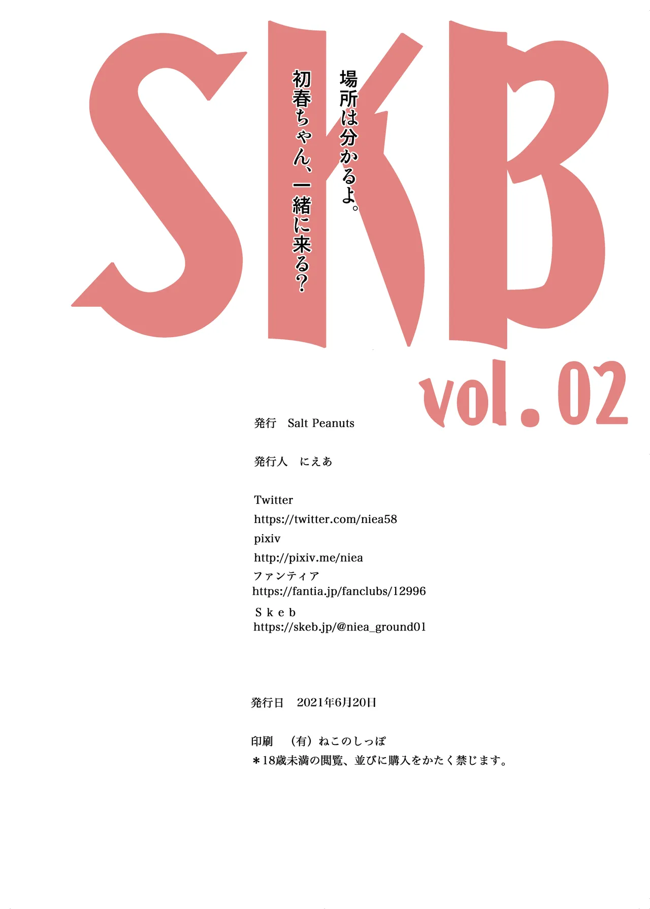 [Salt Peanuts (Niea)] SKB vol. 2 (Toaru Kagaku no Railgun) [Chinese] [流氓兔机翻汉化] [Digital] imagen número 28