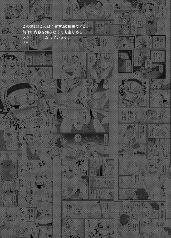 [Seiun Neopolis (Fuji Norihiro)] Konpaku Sengen 2 (Touhou Project) [Digital] 이미지 번호 3