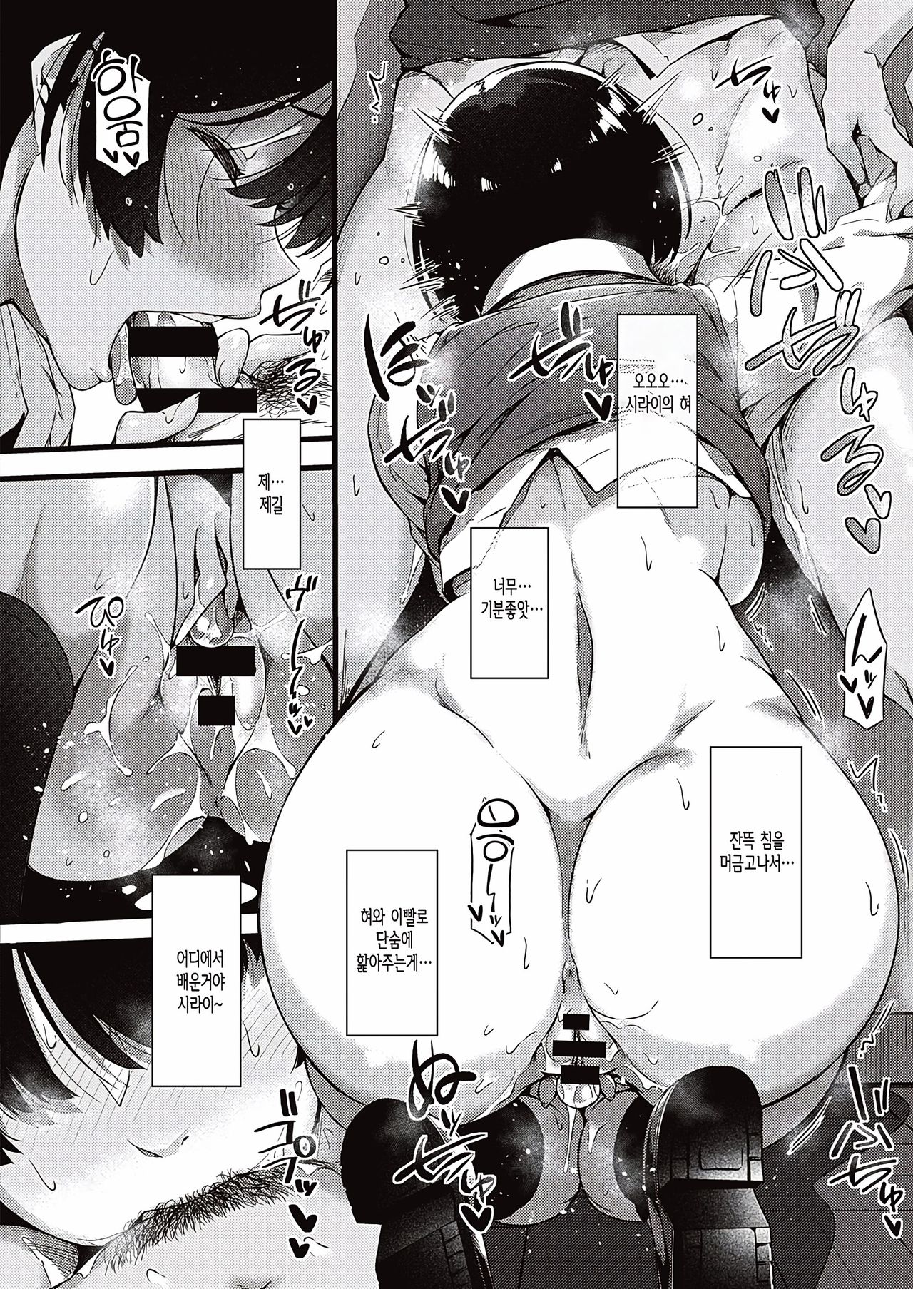 [Tokiwa Midori] Jimiko To Sensei (COMIC ExE 20) [Korean] [Digital] 图片编号 16