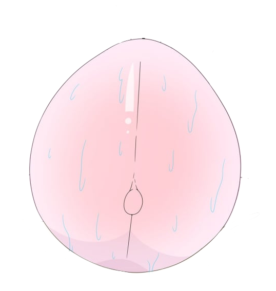 Stemingbunbun 이미지 번호 11