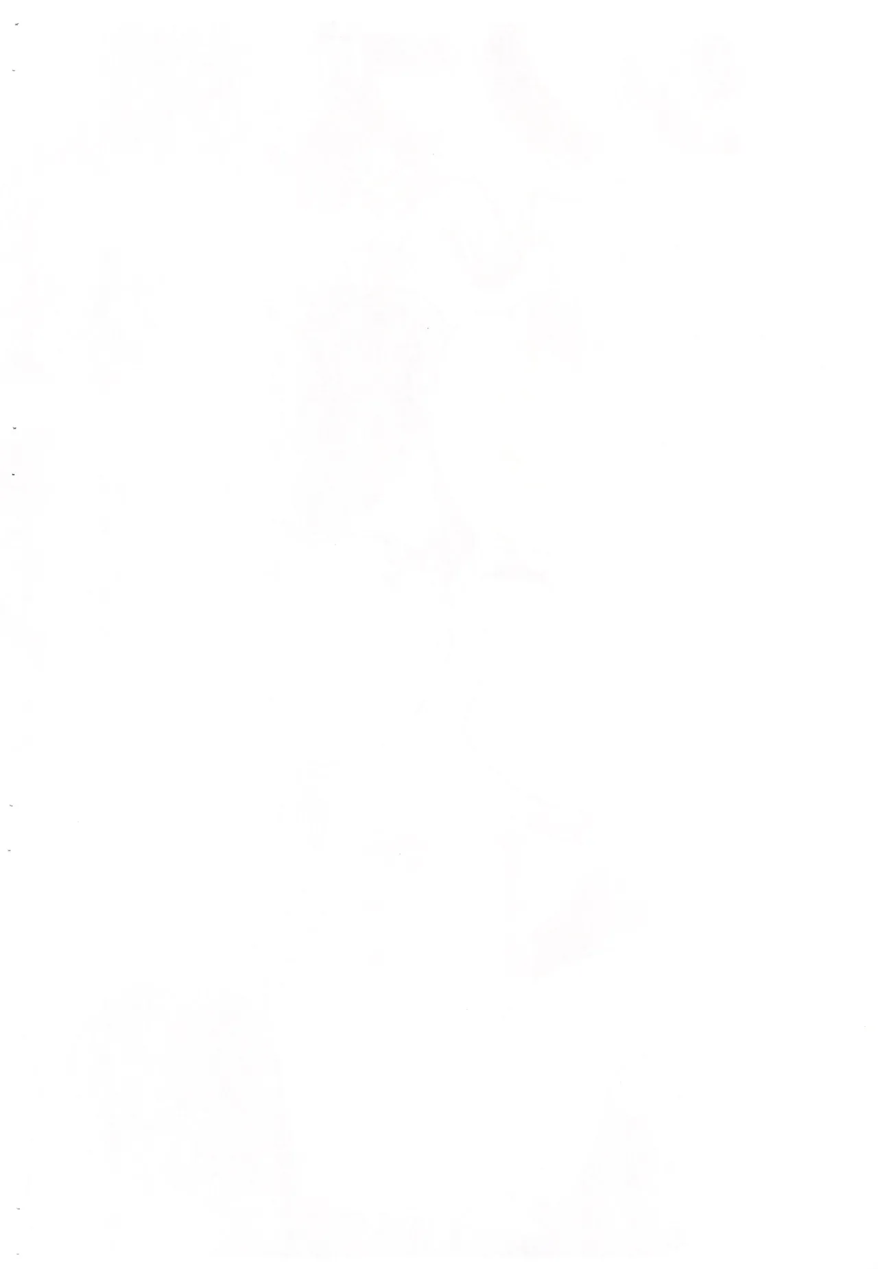 (Puniket 50) [Okishidan] Shinobu ga Kaede to Sukebe suru Hon (2x2 Shinobuden) Bildnummer 2