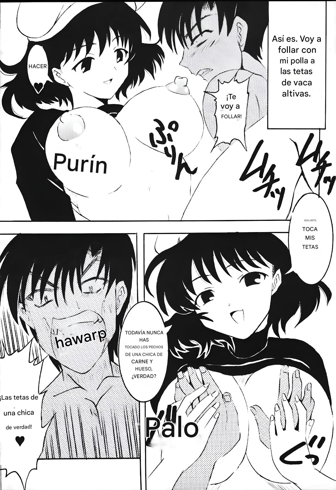 [St. Rio (Kitty, Purin, Tanataka)] AVIVA (Chobits) (español) 이미지 번호 13