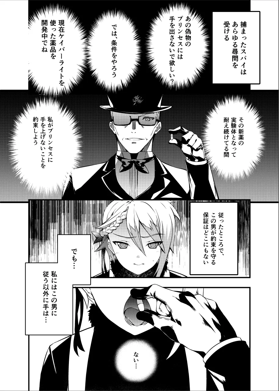 Principal Report image number 3