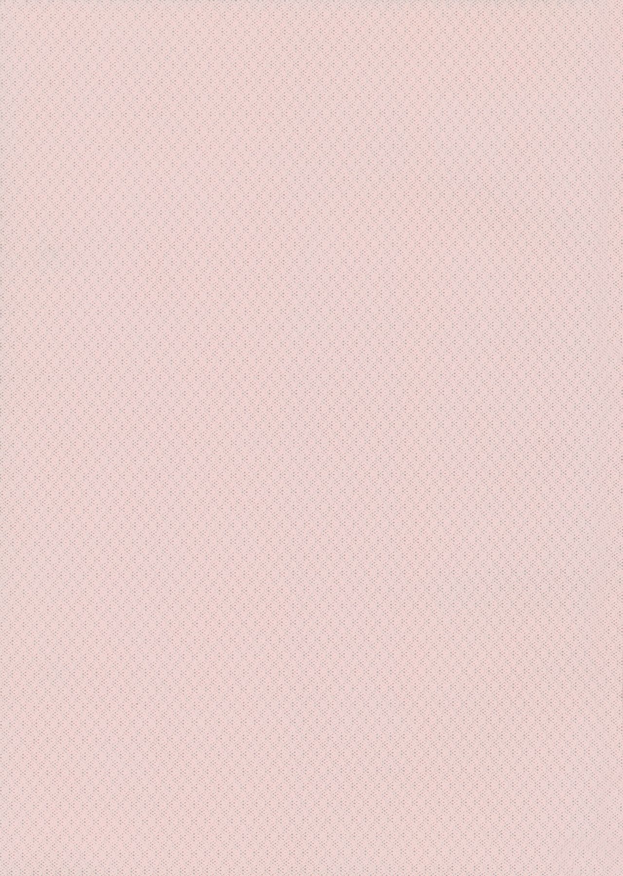 (C94) [BOHYATTO (Pomeko)] howling you (Granblue Fantasy) [Chinese] [路过的骑士汉化组] image number 2