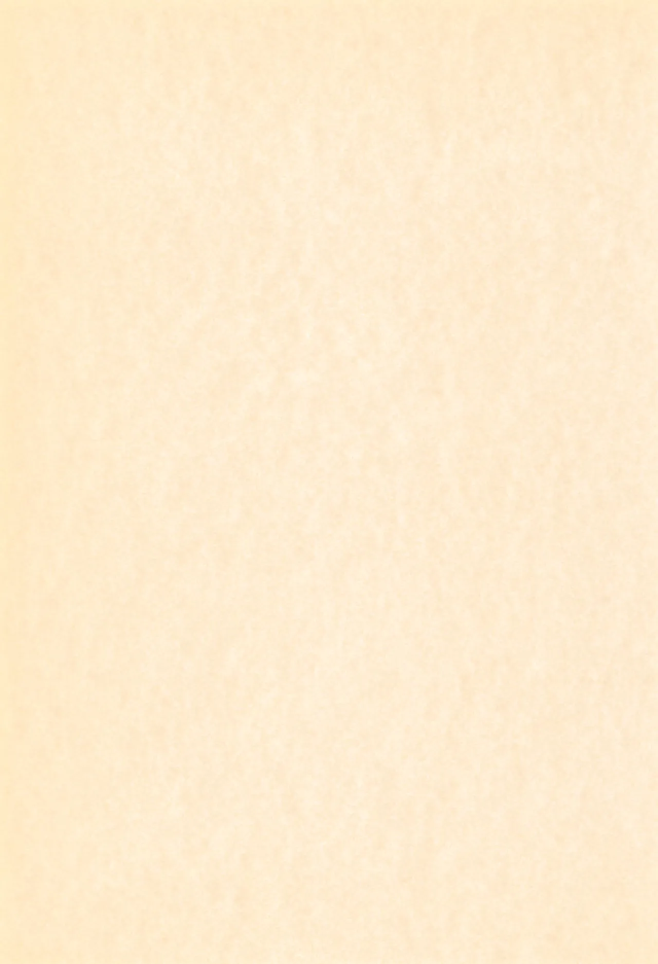 (C58) [GAW!! (Miyashita Kei)] Ankimo (Megaman Legends, Kanon) imagen número 3