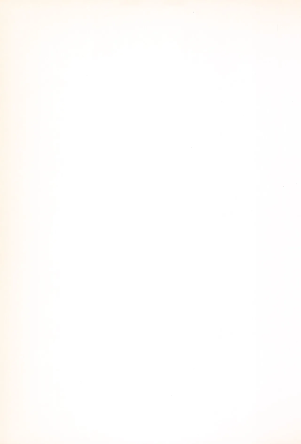 (C58) [GAW!! (Miyashita Kei)] Ankimo (Megaman Legends, Kanon) imagen número 37