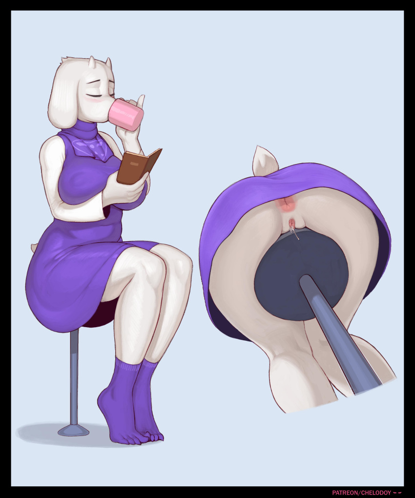 Chelodoy Bildnummer 14