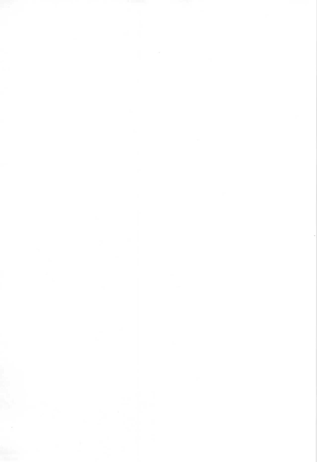 (C105) [Setsugetsuhuuka, Neko Daifuku (Motochi Sora, Nekono Shiro)] kore mo hitotsu no mirai no hanashi numero di immagine  23