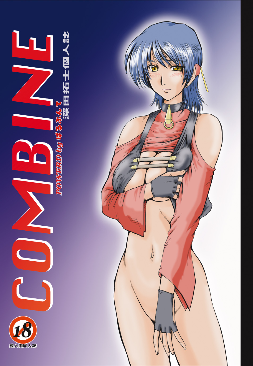 [Parupunte (Fukada Takushi)] F-52 COMBINE (Gun x Sword, Gundam Seed Destiny, Onegai Teacher) [Digital] 이미지 번호 1