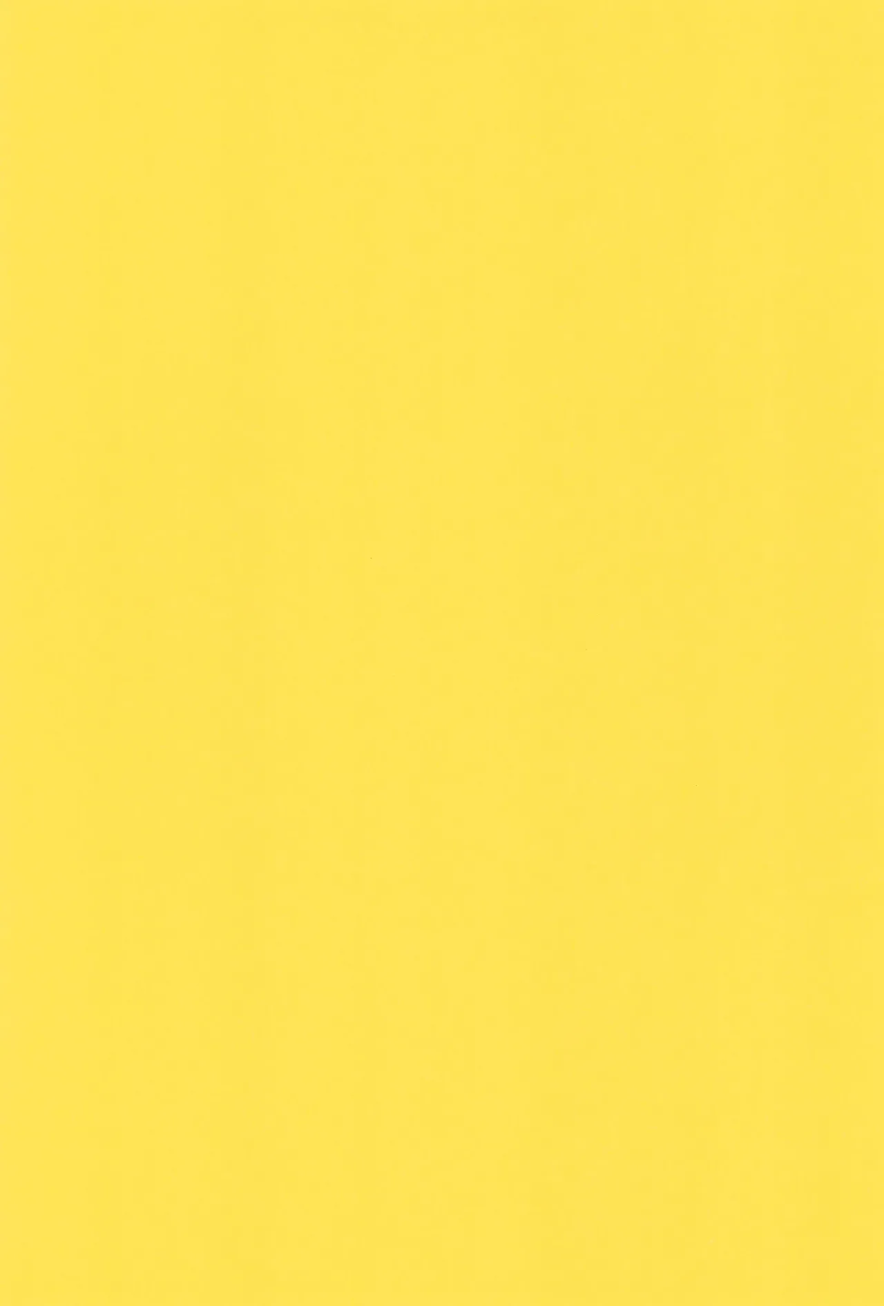 (C100) [Belphegor no 39 (Kuma-ya)] Foot Sexy (Odd Taxi) numero di immagine  17