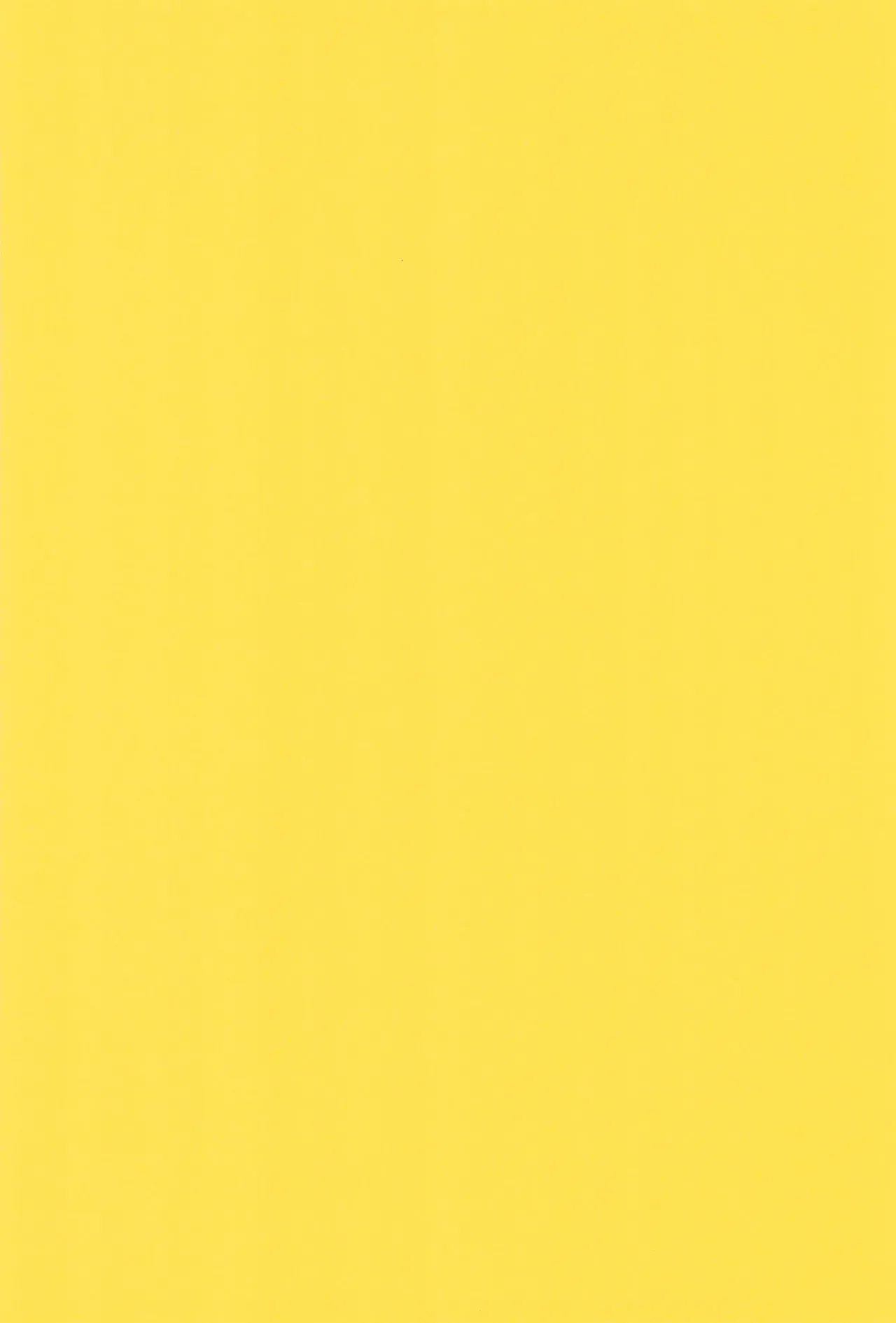 (C100) [Belphegor no 39 (Kuma-ya)] Foot Sexy (Odd Taxi) numero di immagine  18