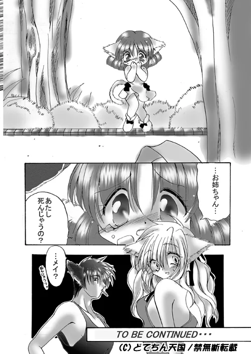 (C57) [Dotechin Tengoku (Ryuuki Yumi)] Nekomimi Musume wa Otoshigoro (Zenpen) Bildnummer 11