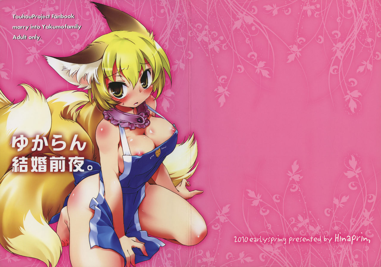 (Reitaisai 7) [Hinaprin (Ikuta Takanon)] Yukaran Kekkon Zenya. (Touhou Project) Bildnummer 2