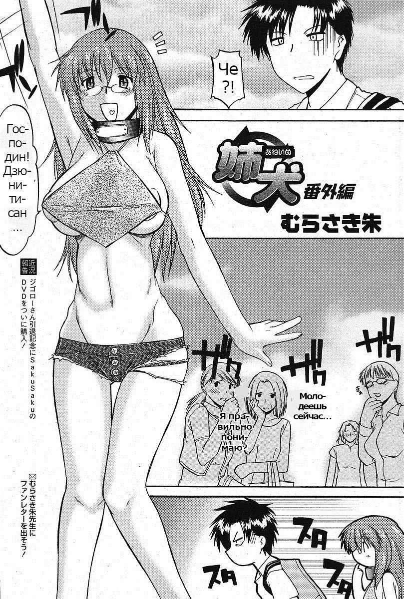 [Murasaki Syu] Ane Inu Bangaihen (COMIC Papipo 2005-09) [Russian] [Psih] numero di immagine  2