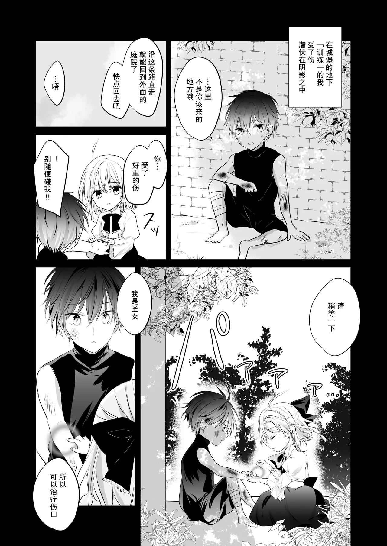 [Shinku kairo (Shikino Yu) ] shinikake seijo wa asashin ni dekiai sa rete imasu | 濒死圣女被暗杀者溺爱 [Chinese] [莉赛特汉化组] 37eme image