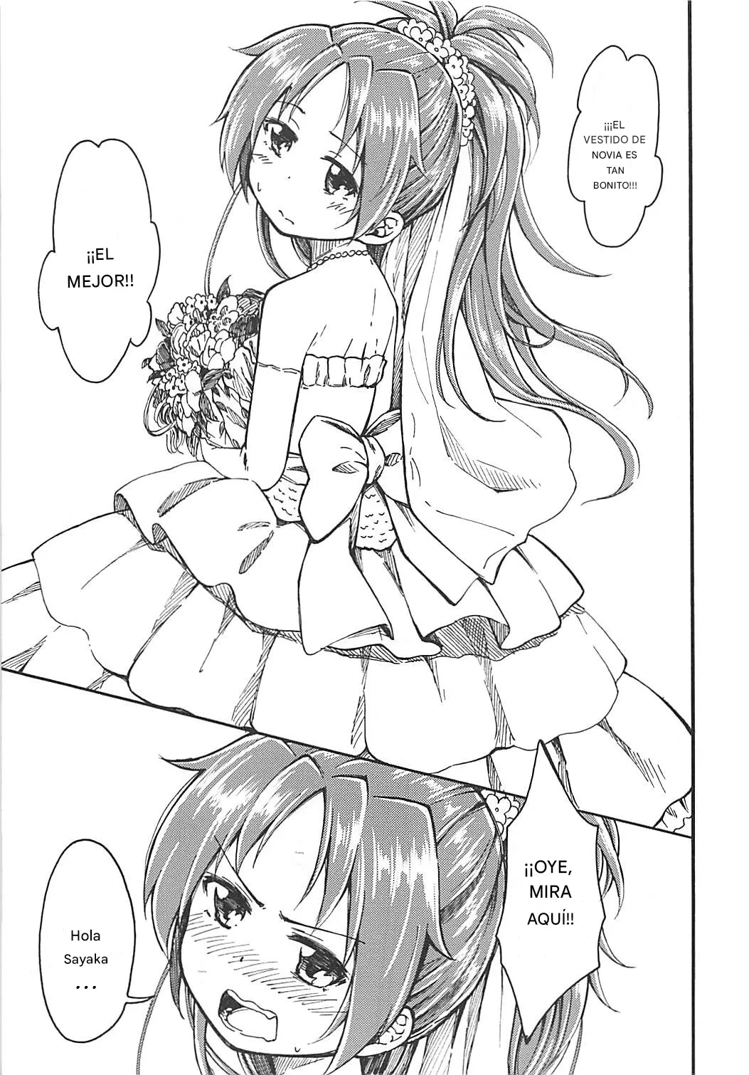 (C86) [Fukazume Kizoku (Amaro Tamaro)] Lovely Girls Lily vol. 10 (Puella Magi Madoka Magica) [SPANISH](traductor;CristoferDeLosAndes) image number 11