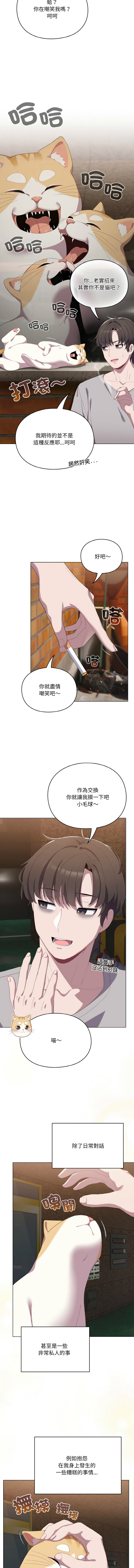 [10_million & matdol] 喵来的恋爱 | 喵來的戀愛 1-5 [Chinese] [Ongoing] 画像番号 12