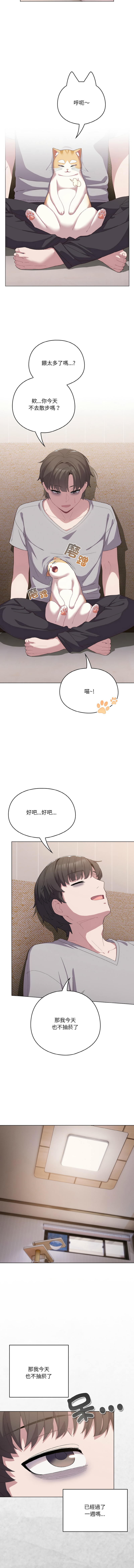 [10_million & matdol] 喵来的恋爱 | 喵來的戀愛 1-5 [Chinese] [Ongoing] 画像番号 61