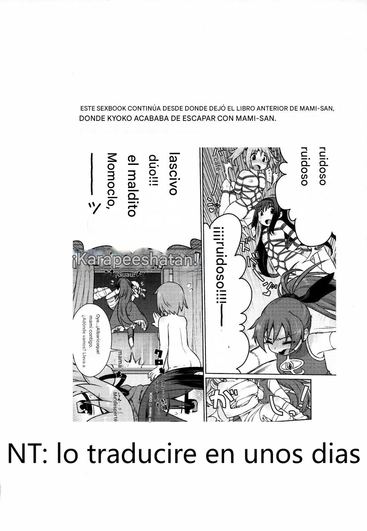 (C95) [CELTRANCE (Kogaku Kazuya)] MamimamiX digress | Divagación de MamimamiX (Puella Magi Madoka Magica) [Spanish] [CristoferDeLosAndes] Bildnummer 4