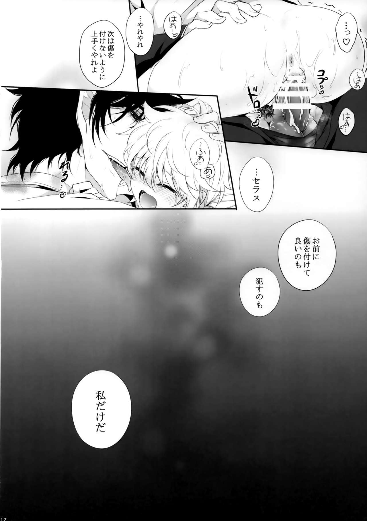 (C94) [S.clock+ (Kurobe Tomo)] Exclusive Treatment (Hellsing) imagen número 11