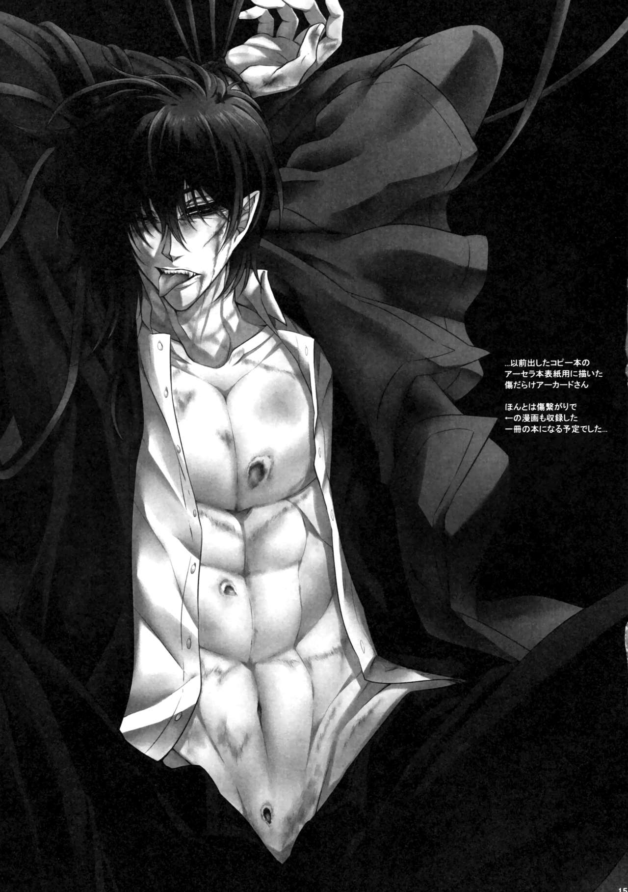 (C94) [S.clock+ (Kurobe Tomo)] Exclusive Treatment (Hellsing) imagen número 14