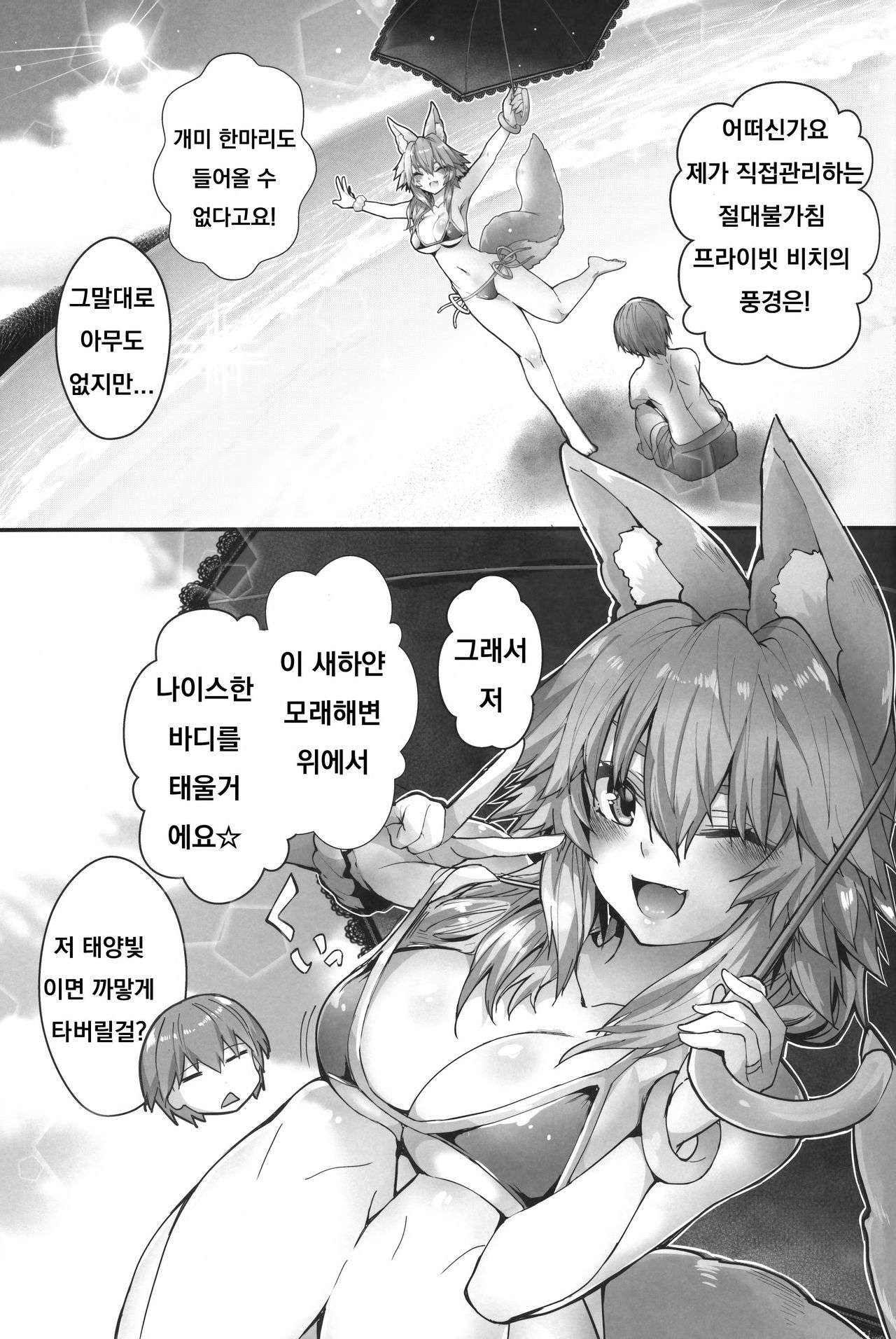 (C96) [Yamitsuki Honpo (Wise Speak)] Taiyou! Sunahama! Nagisa no Tamamo-chan (Fate/Extra) [Korean] 图片编号 4