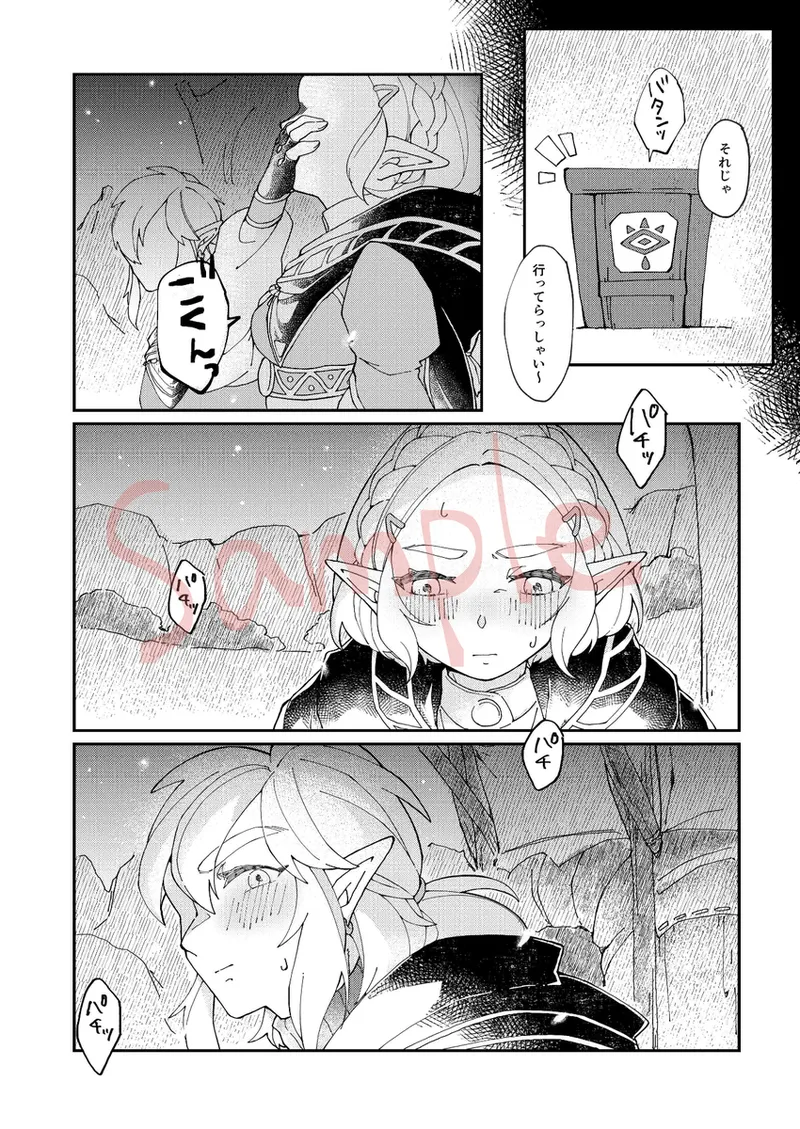 [ chloroplast] EXPECTING[The Legend of Zelda) numero di immagine  6