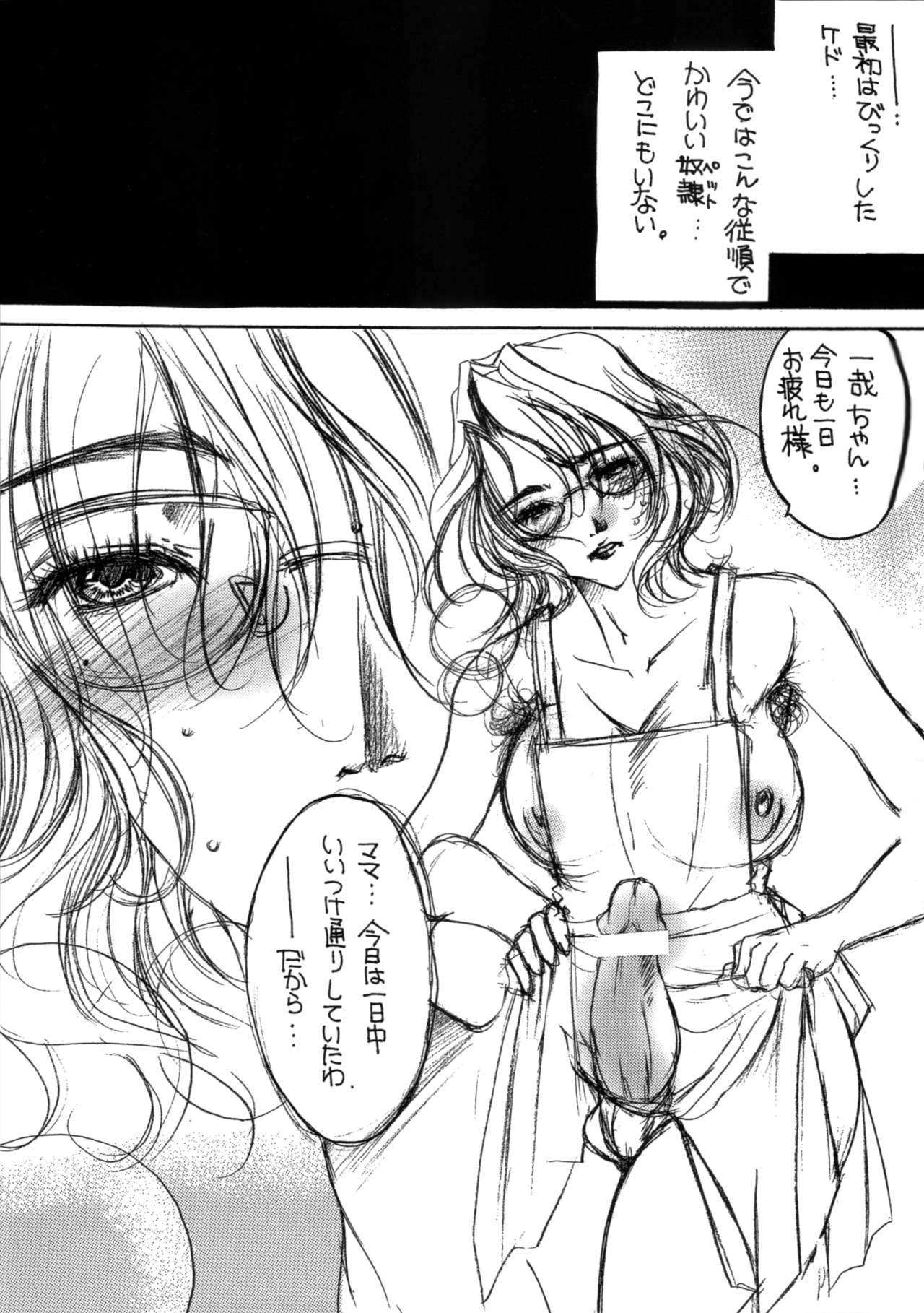 (Futaket vs. ABC ~Hentaisai~) [M.MACABRE (Nyanko Fujin-sama)] FutaMama Dorei Bildnummer 4