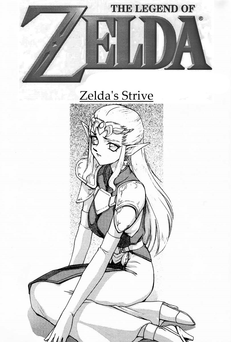 Legend of Zelda; Zelda's Strive (Rewrite, Ongoing) Bildnummer 1
